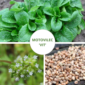 EKOLOŠKI MOTOVILEC 'VIT'