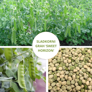 EKOLOŠKI SLADKORNI GRAH 'SWEET HORIZON'