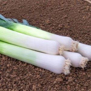 EKOLOŠKI POR 'KULAURES'